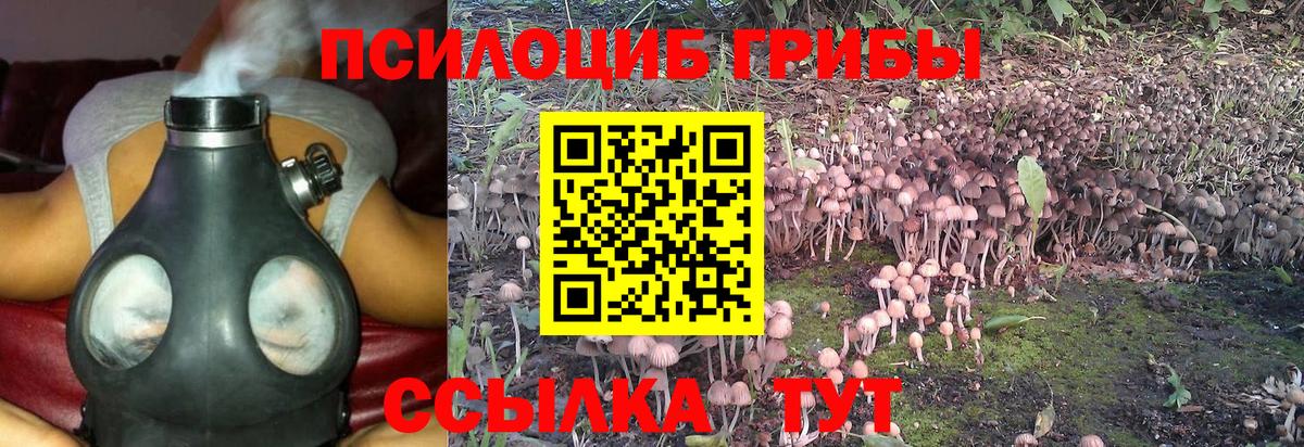 Галлюциногенные грибы Psilocybe  Вход с VPN  Псилоцибиновые грибы MAGIC MUSHROOMS  Междуреченск 