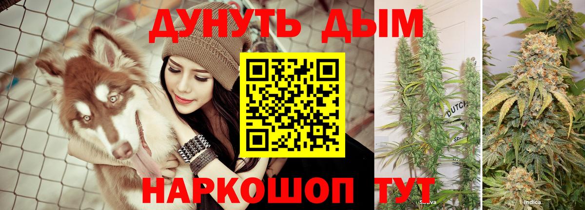 Конопля White Widow  Бошки марихуана планчик  Вход с VPN  Междуреченск 